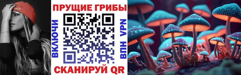 наркотики  Чадан  Галлюциногенные грибы ЛСД 